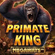 image slot primate king